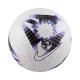 Nike Μπάλα ποδοσφαίρου Premier League Academy